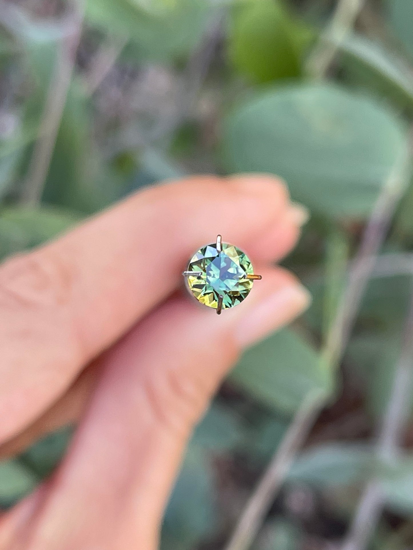 1.4ct Australian Parti Sapphire
