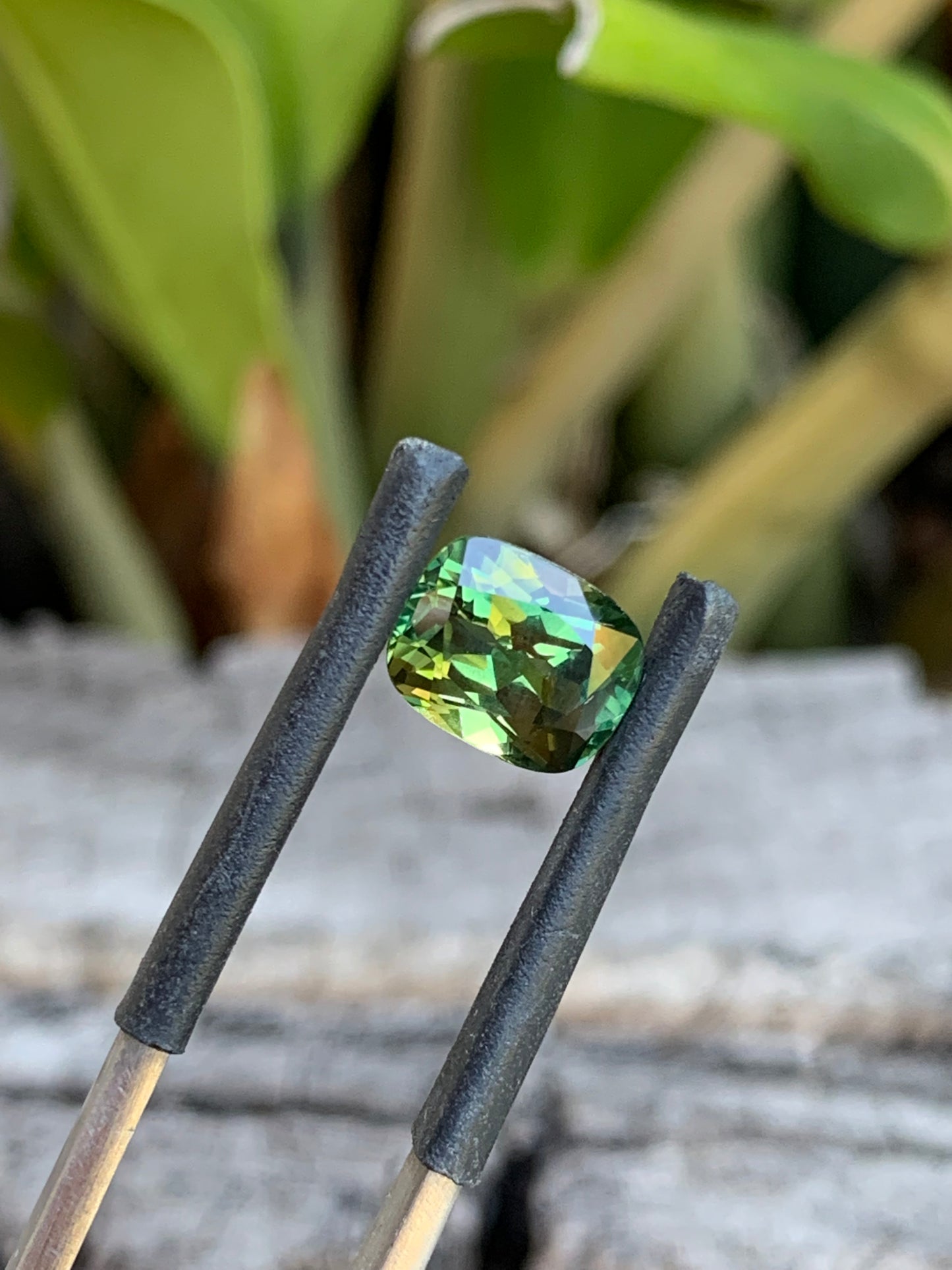 2.72ct Australian Parti Sapphire