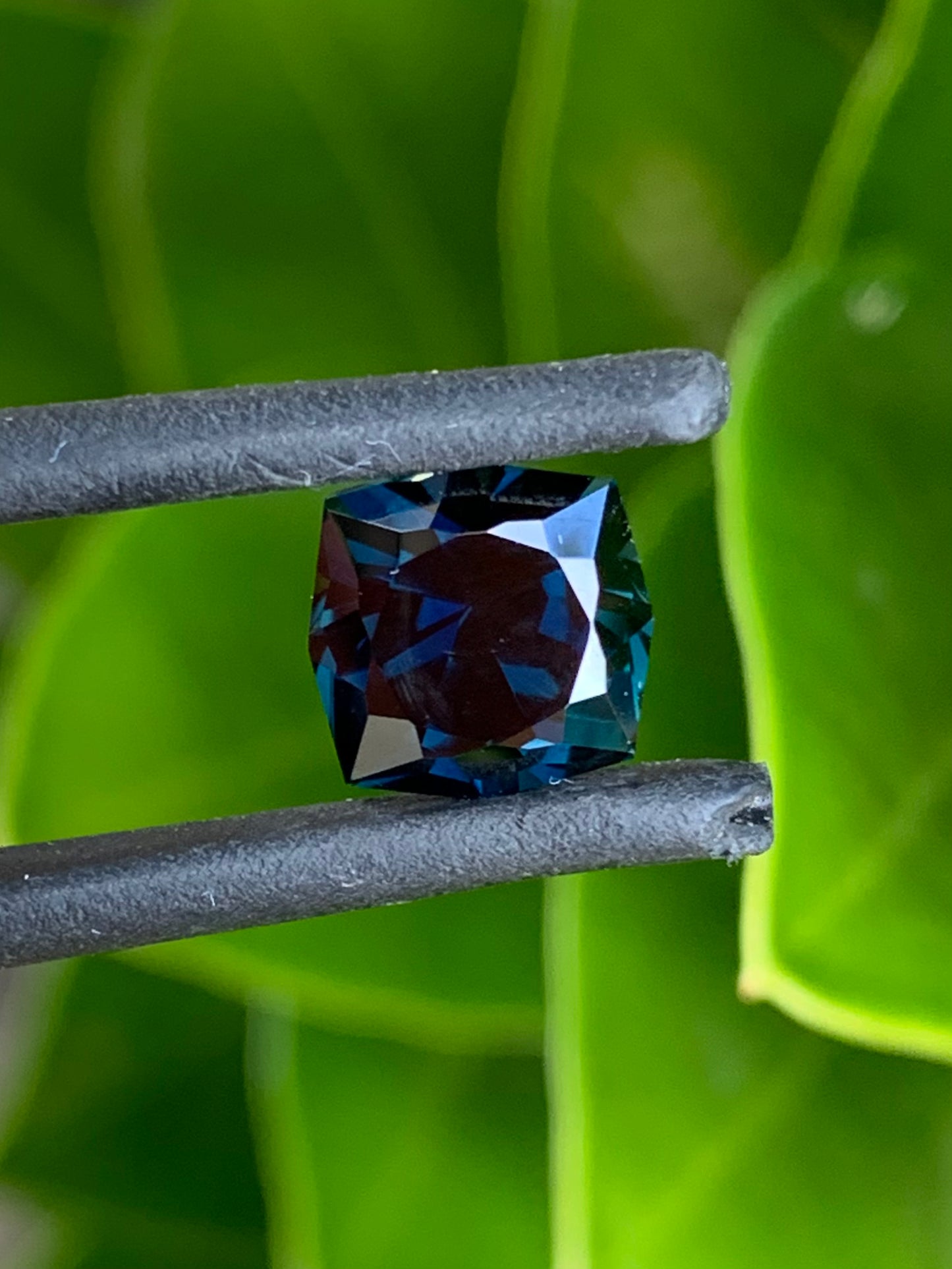Australian Sapphire