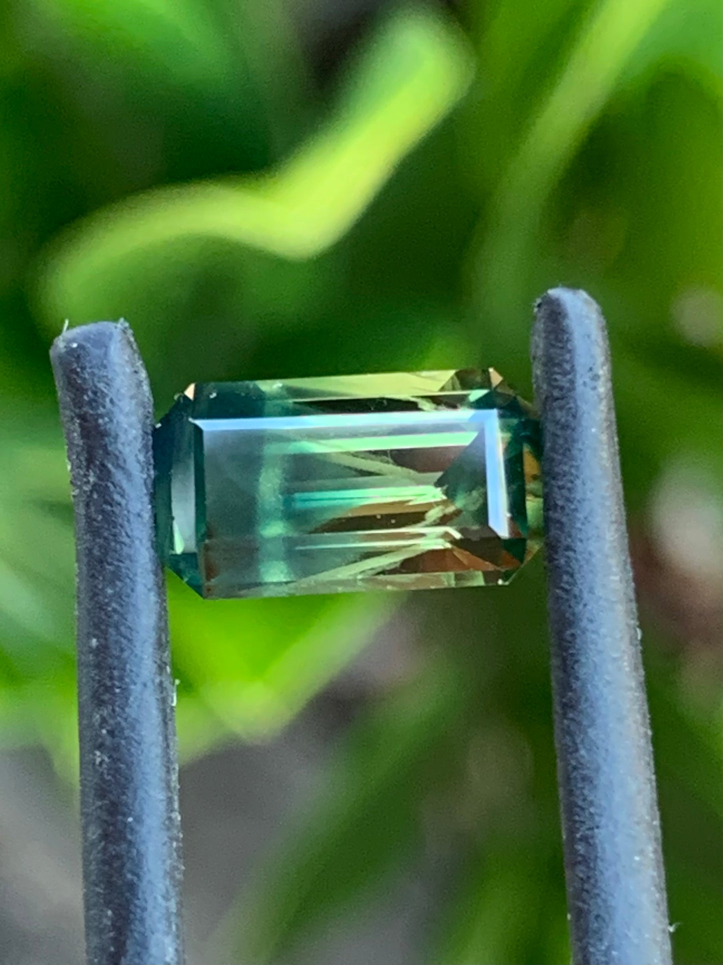 Parti Sapphire