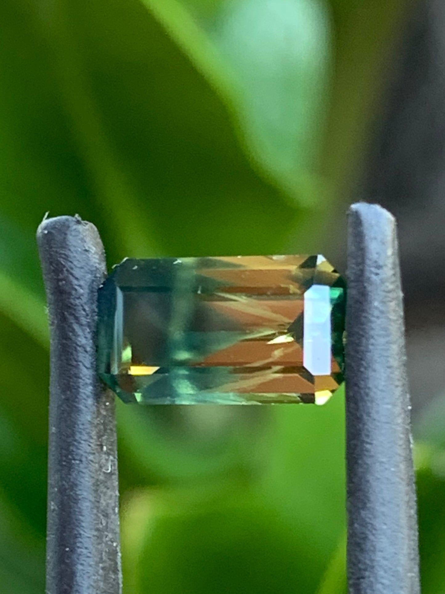 Australian Sapphire