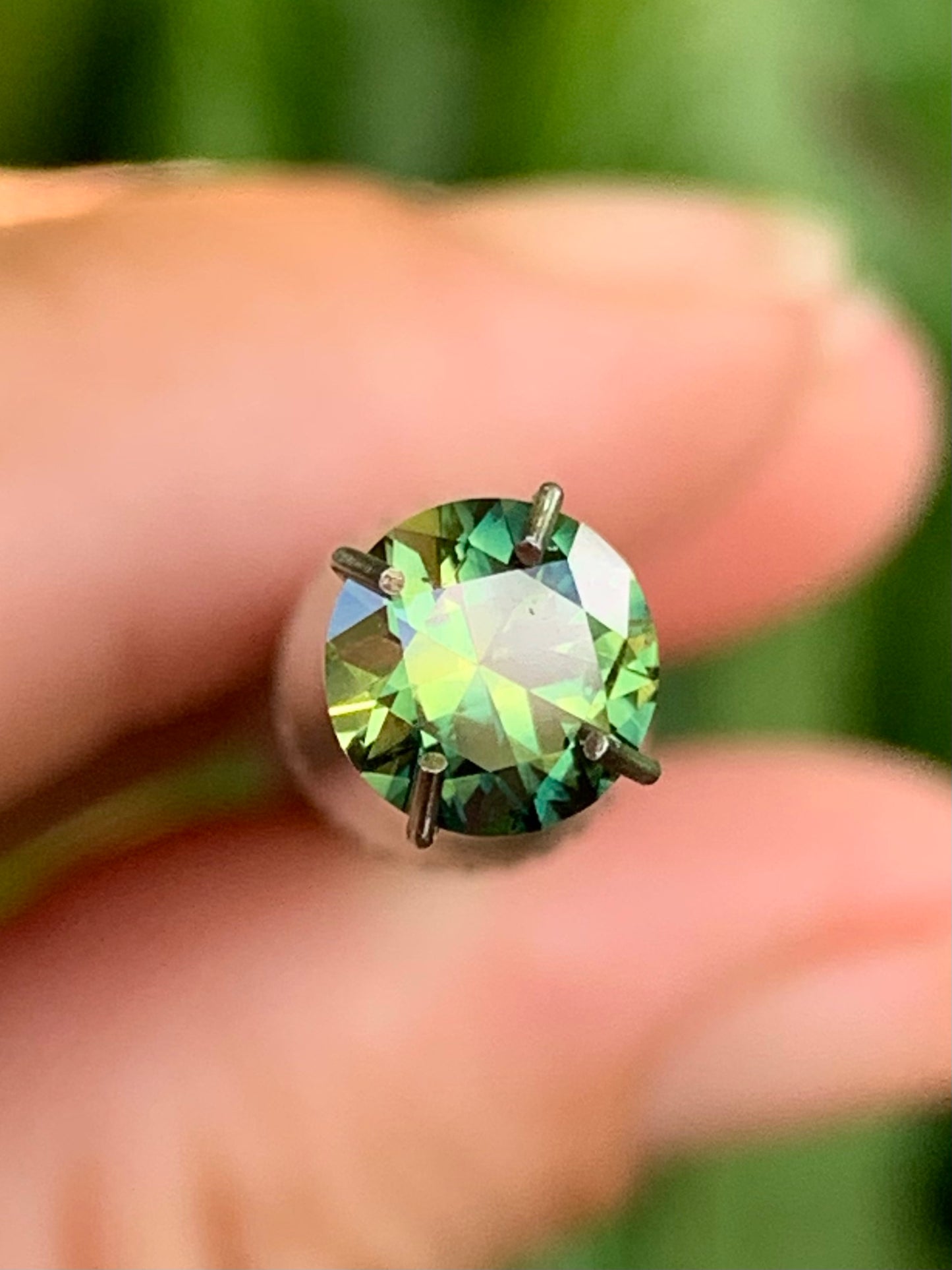 Australian Sapphire Jewellery