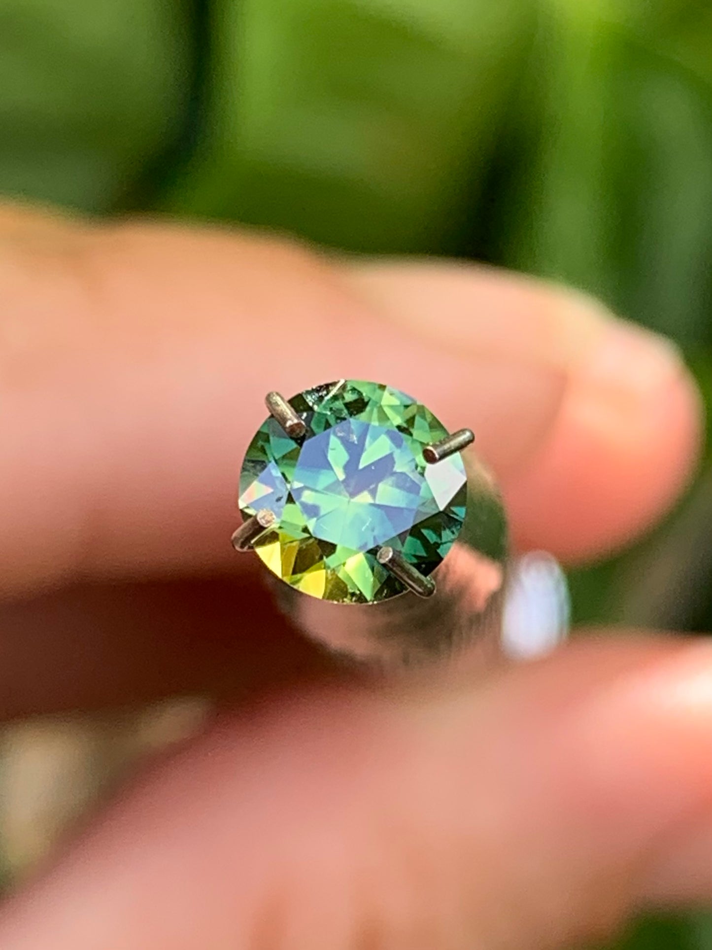 Australian parti Sapphire