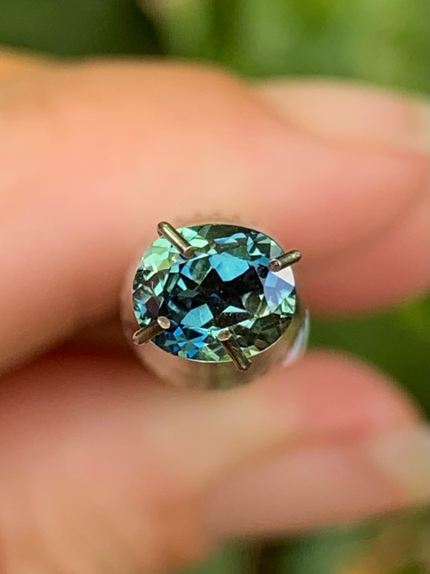 Parti Sapphire