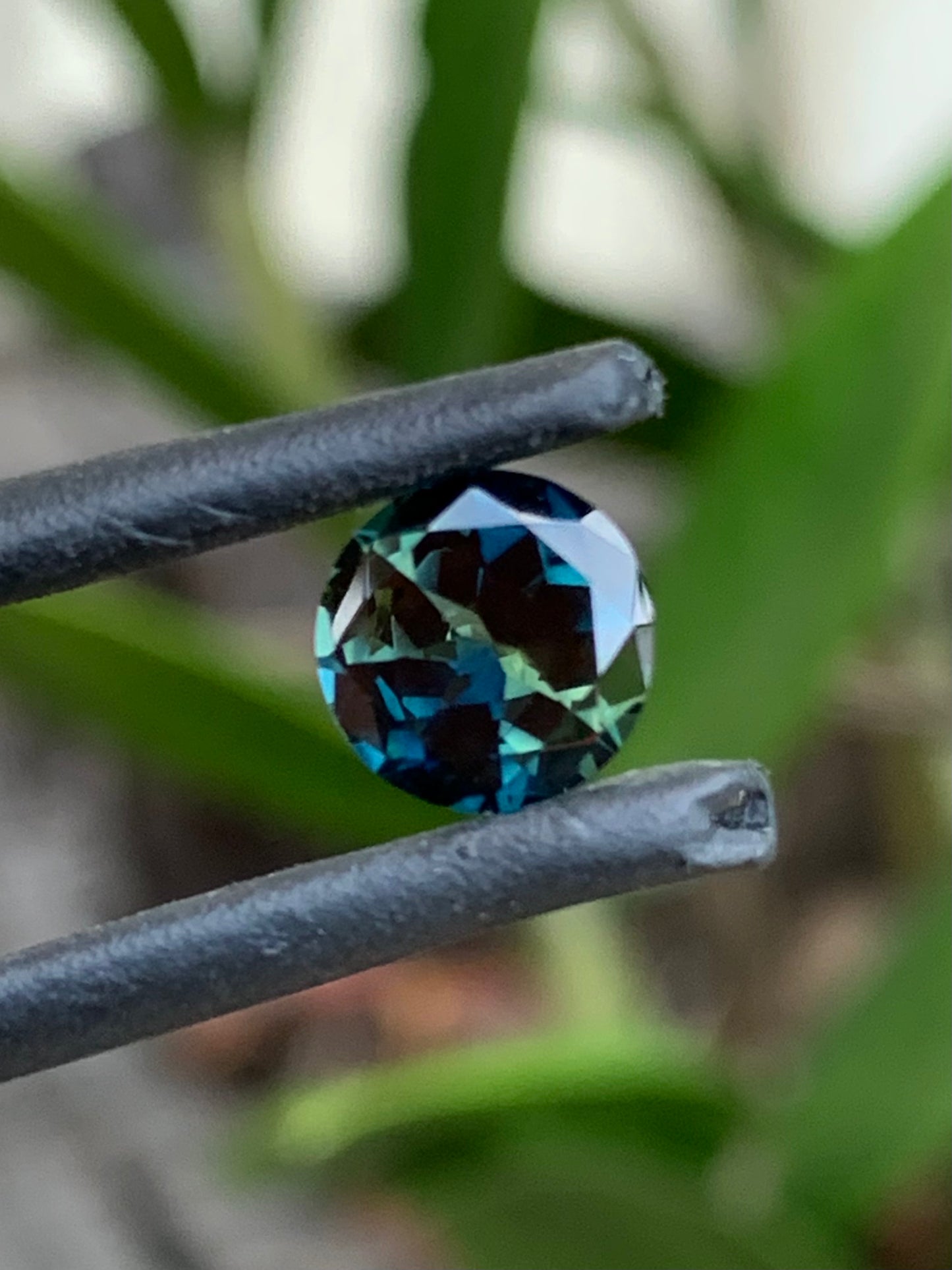 Parti Sapphire