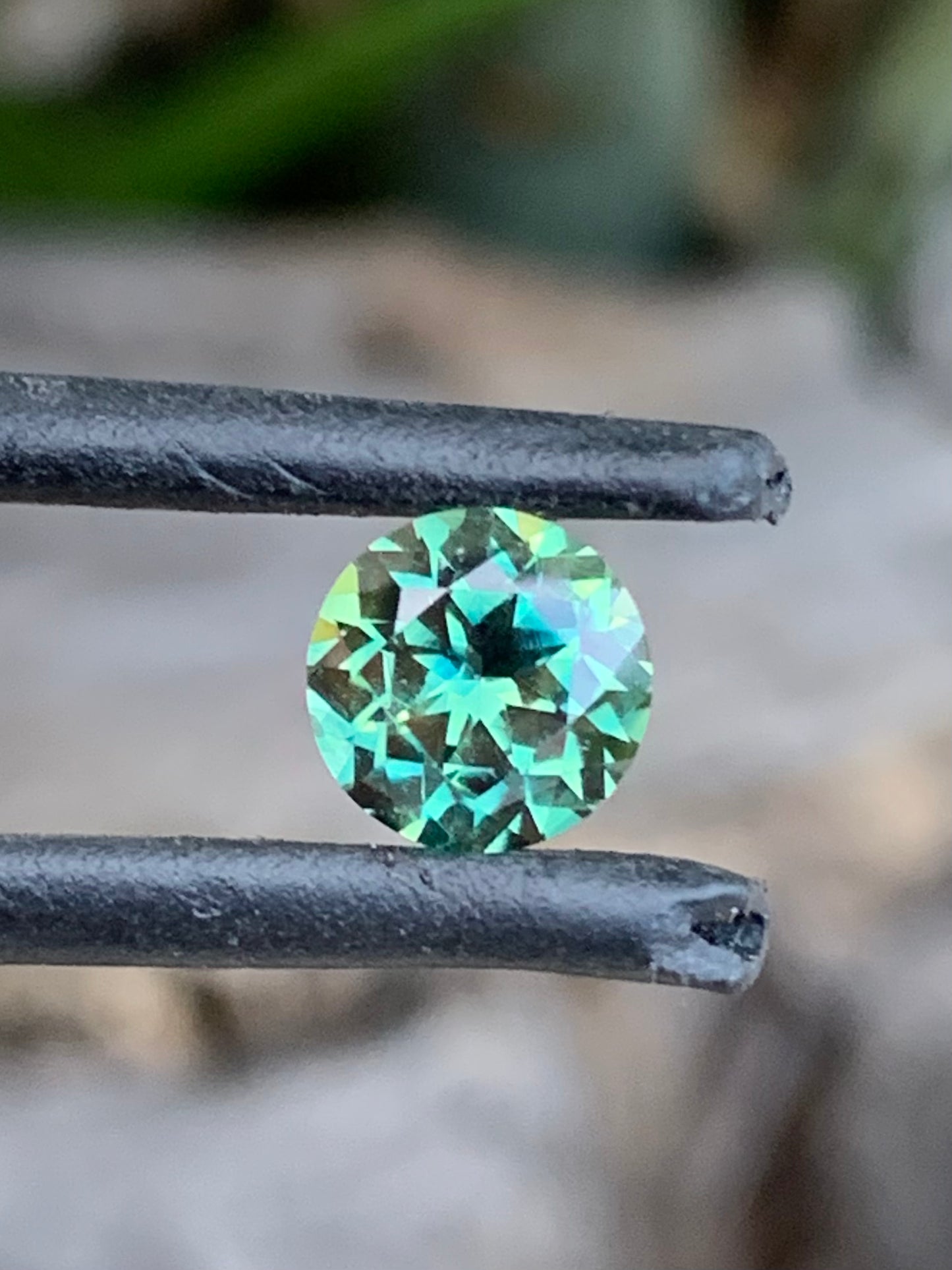 Parti Sapphire
