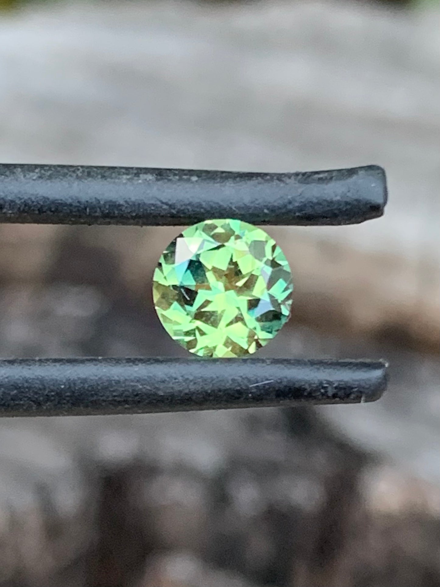 Parti Sapphire