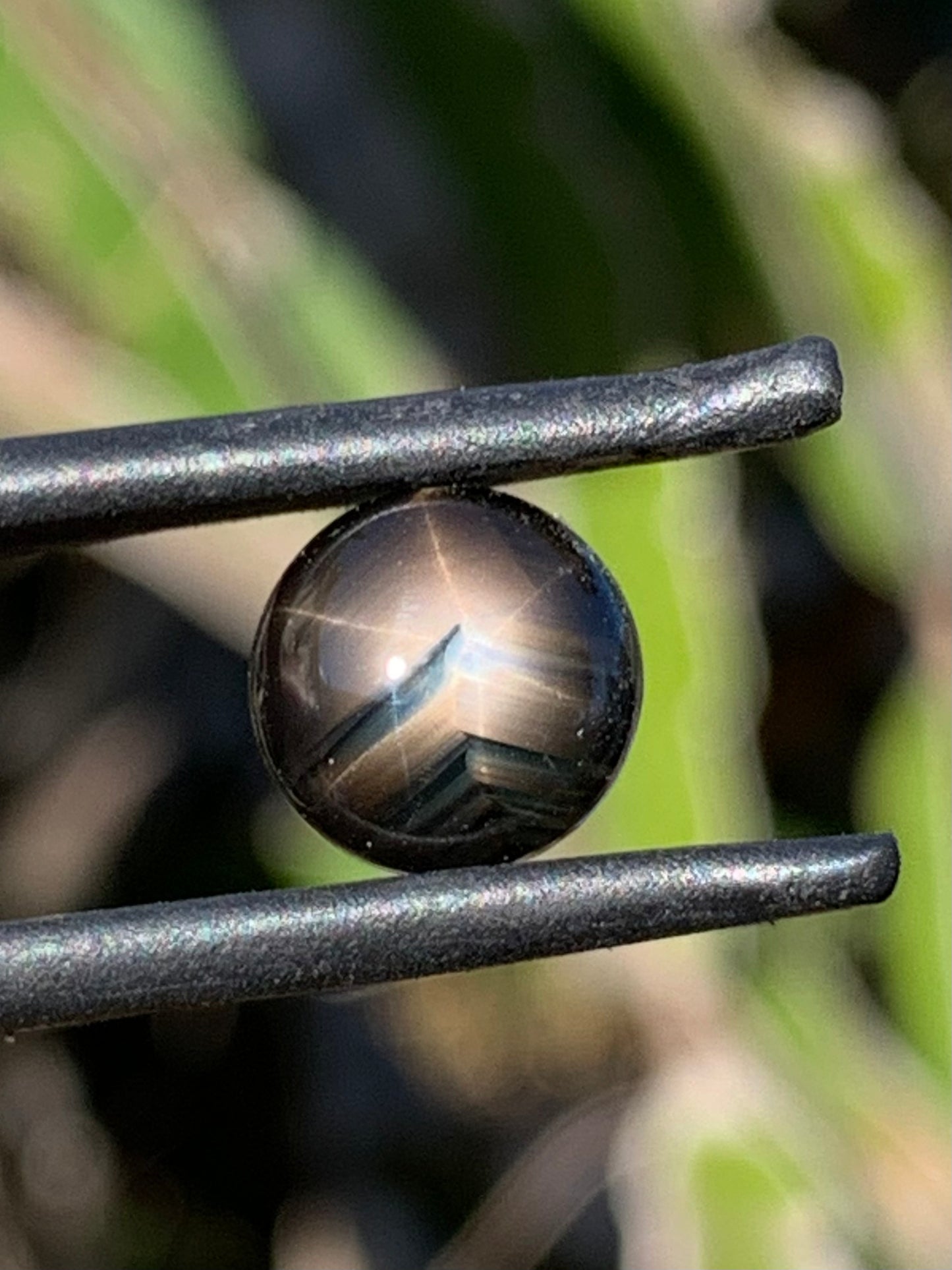 Australian Star Sapphire