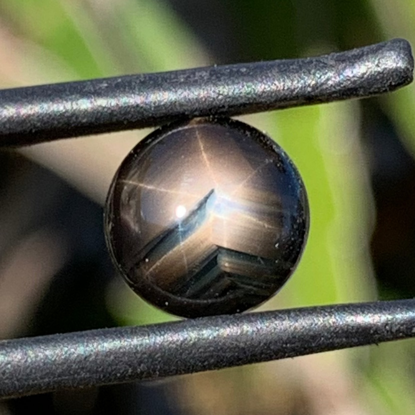 Australian Star Sapphire
