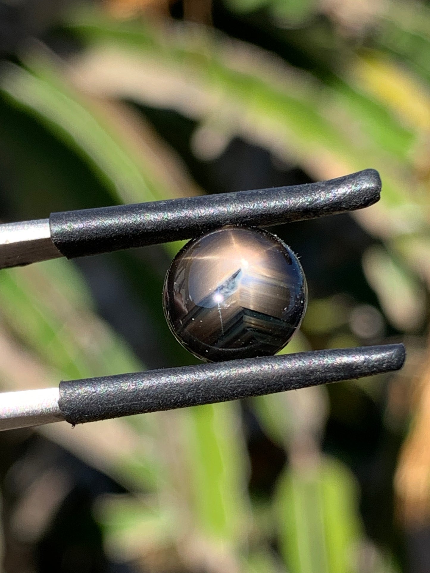 Australian Sapphire
