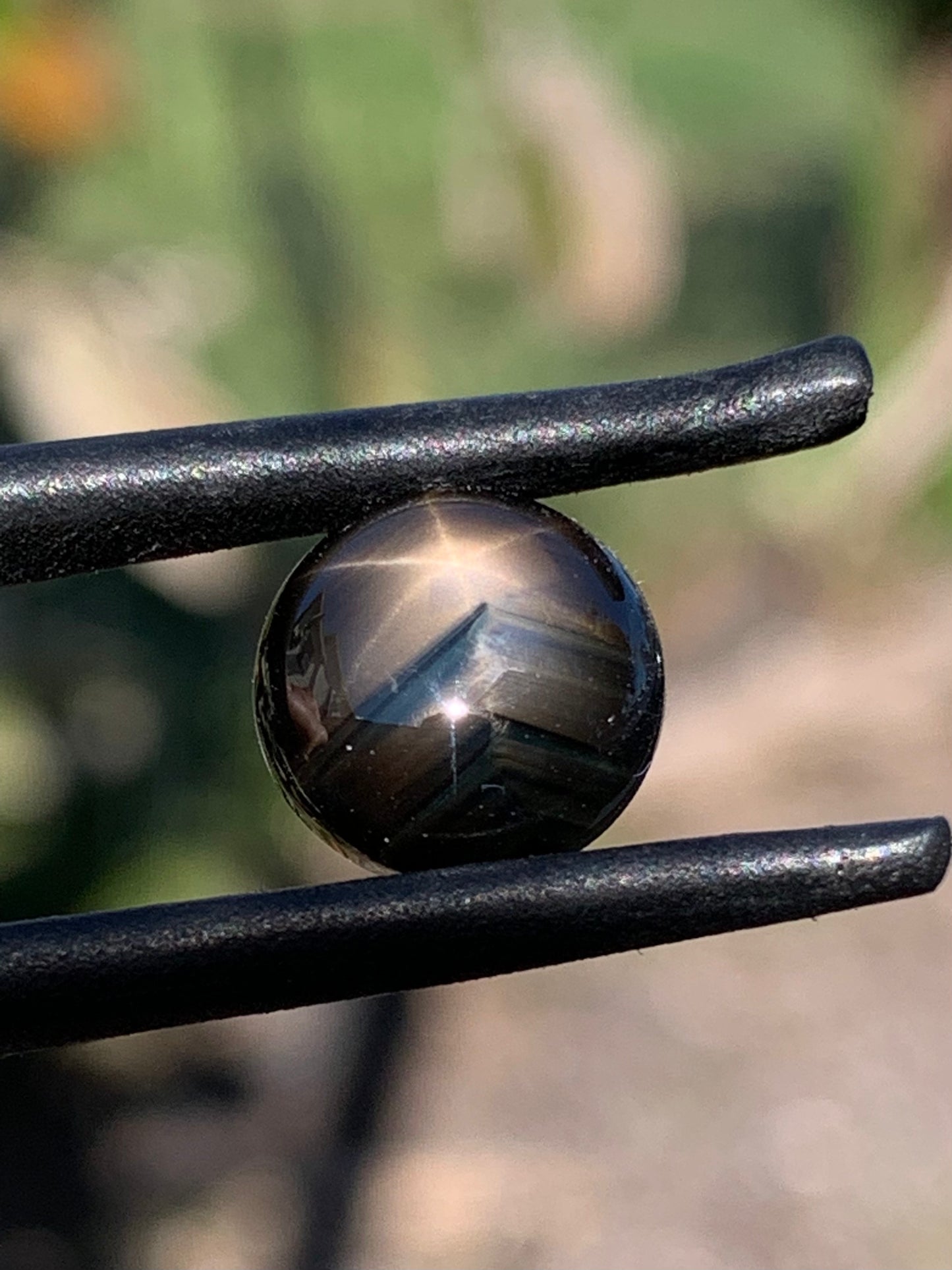 Bronze Star Sapphire