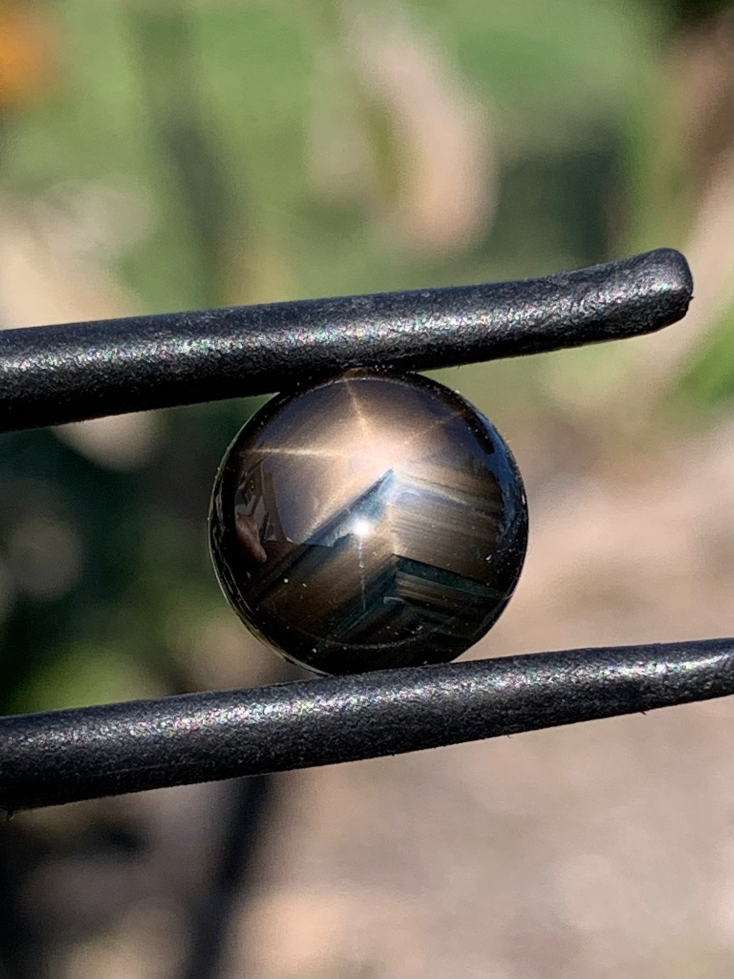 Rare Star Sapphire