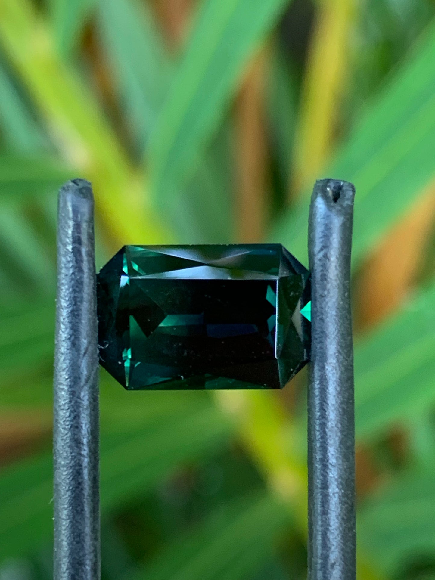 3.95ct Australian Parti Sapphire