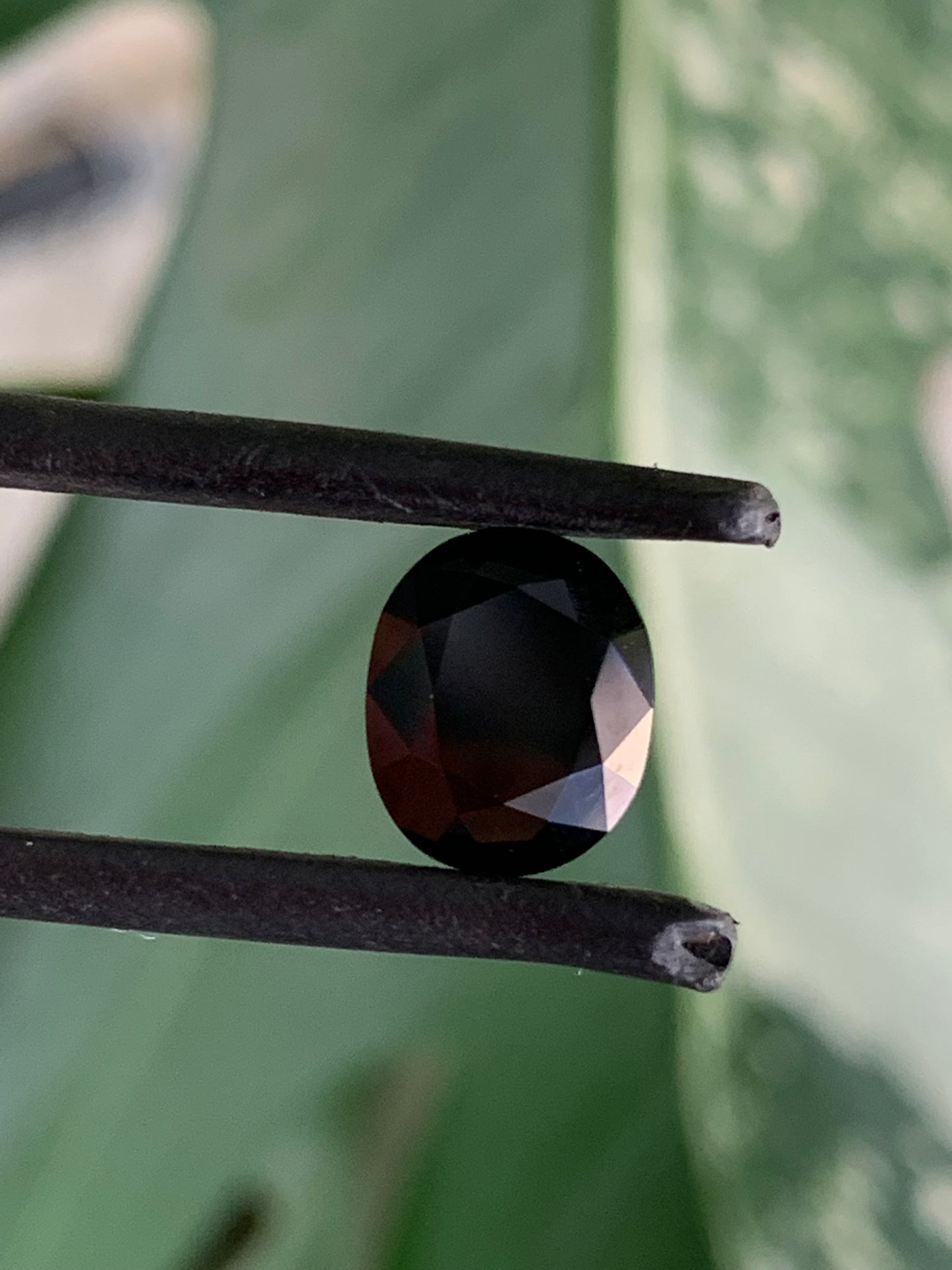 Black Diamond Alternative