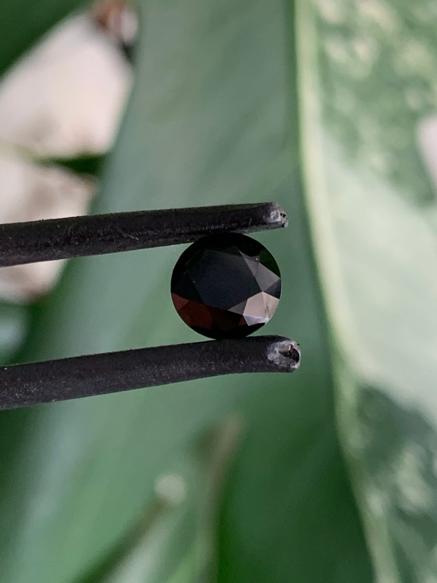 Australian Spinel