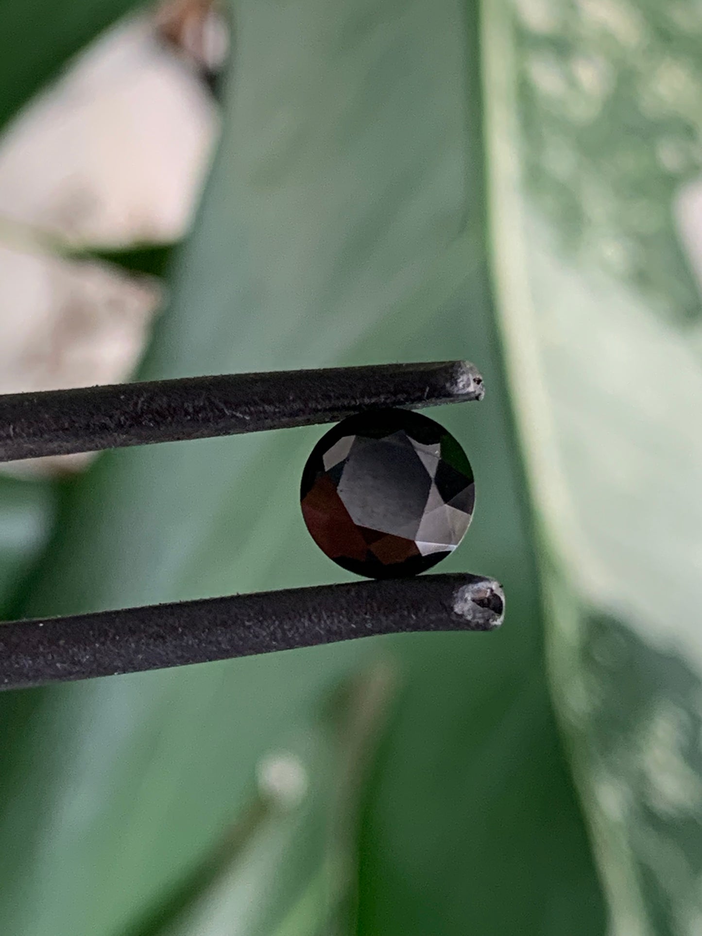 Black Diamond Alternative