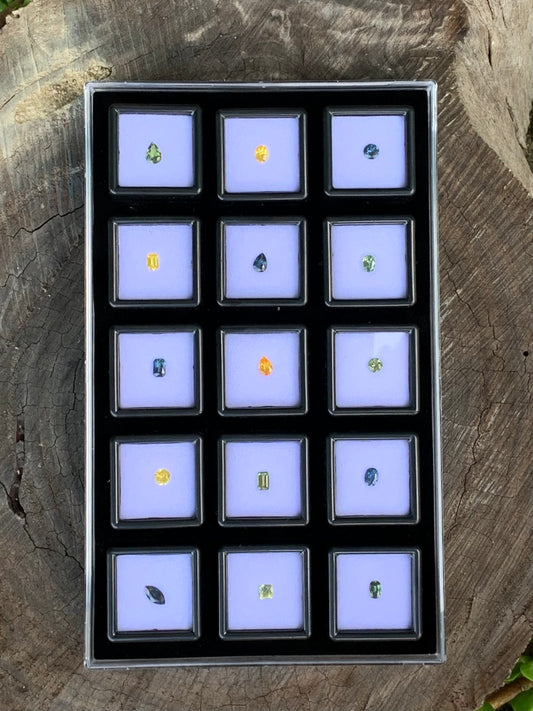 🔹 Collector Tier Membership