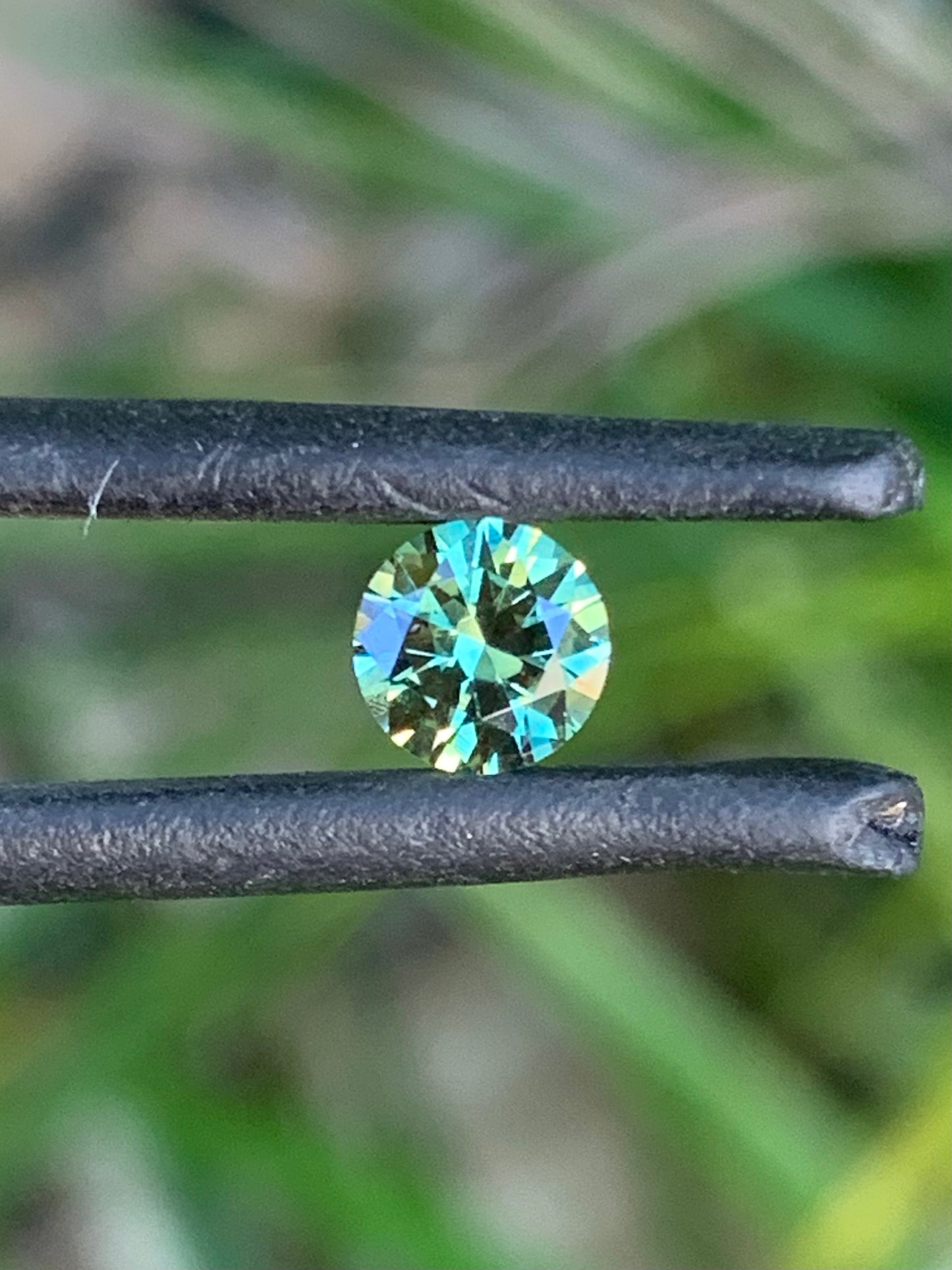 Parti Sapphire