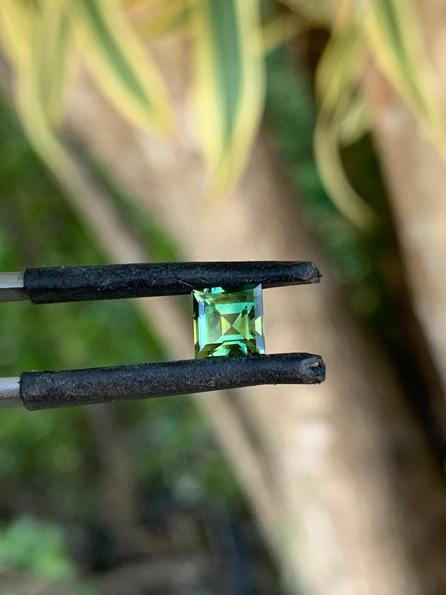 Gemfields Sapphire