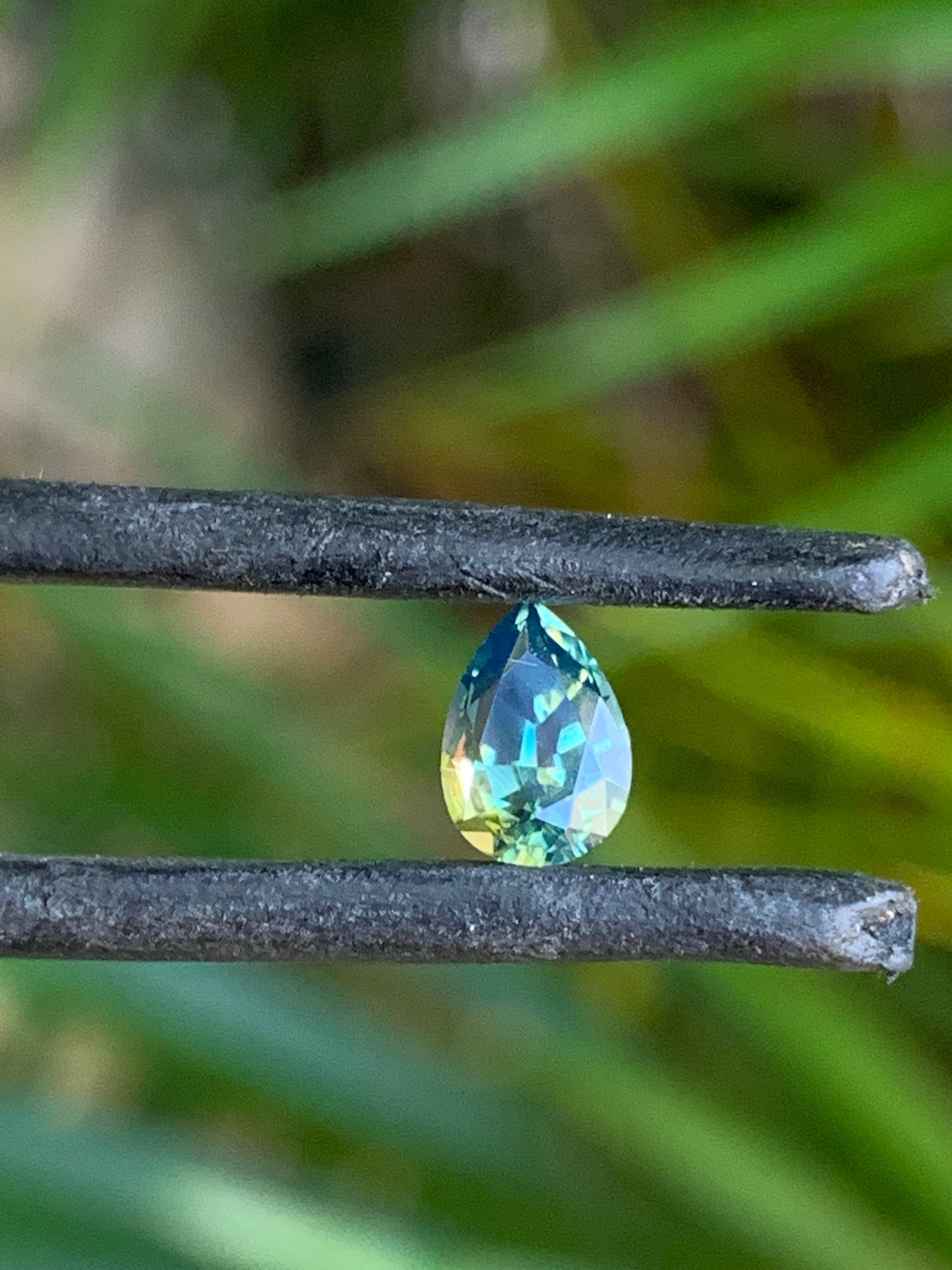 Australian Sapphire