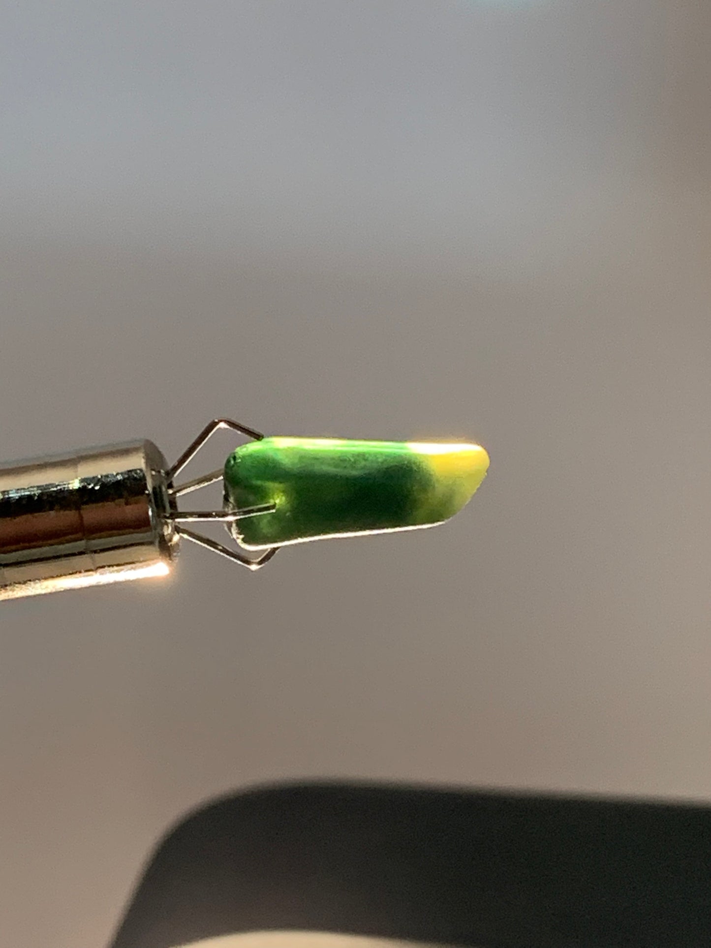 Dog Tooth Sapphire
