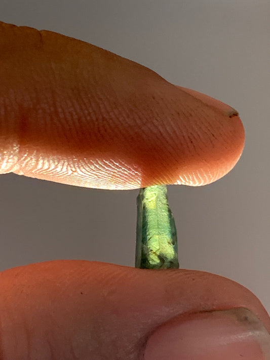 Australian Parti Sapphire Rough