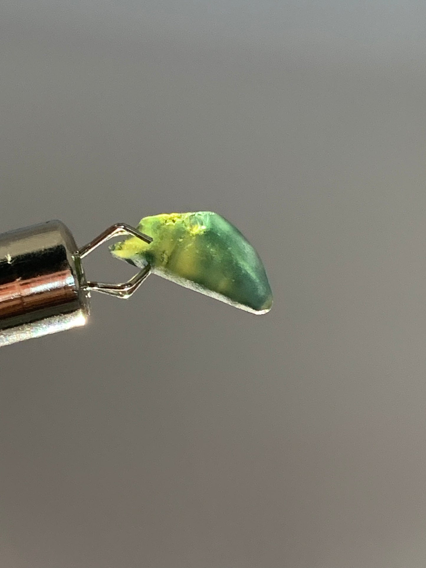 2.07ct Australian Parti Dog Tooth Sapphire Crystal