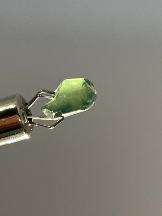 2.4ct Australian Parti Dog Tooth Sapphire Crystal