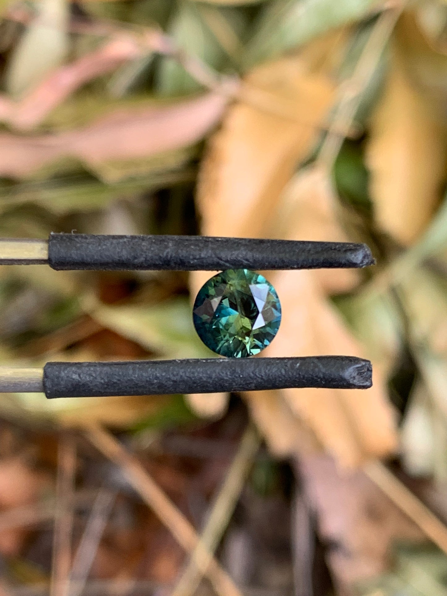 Australian Sapphire