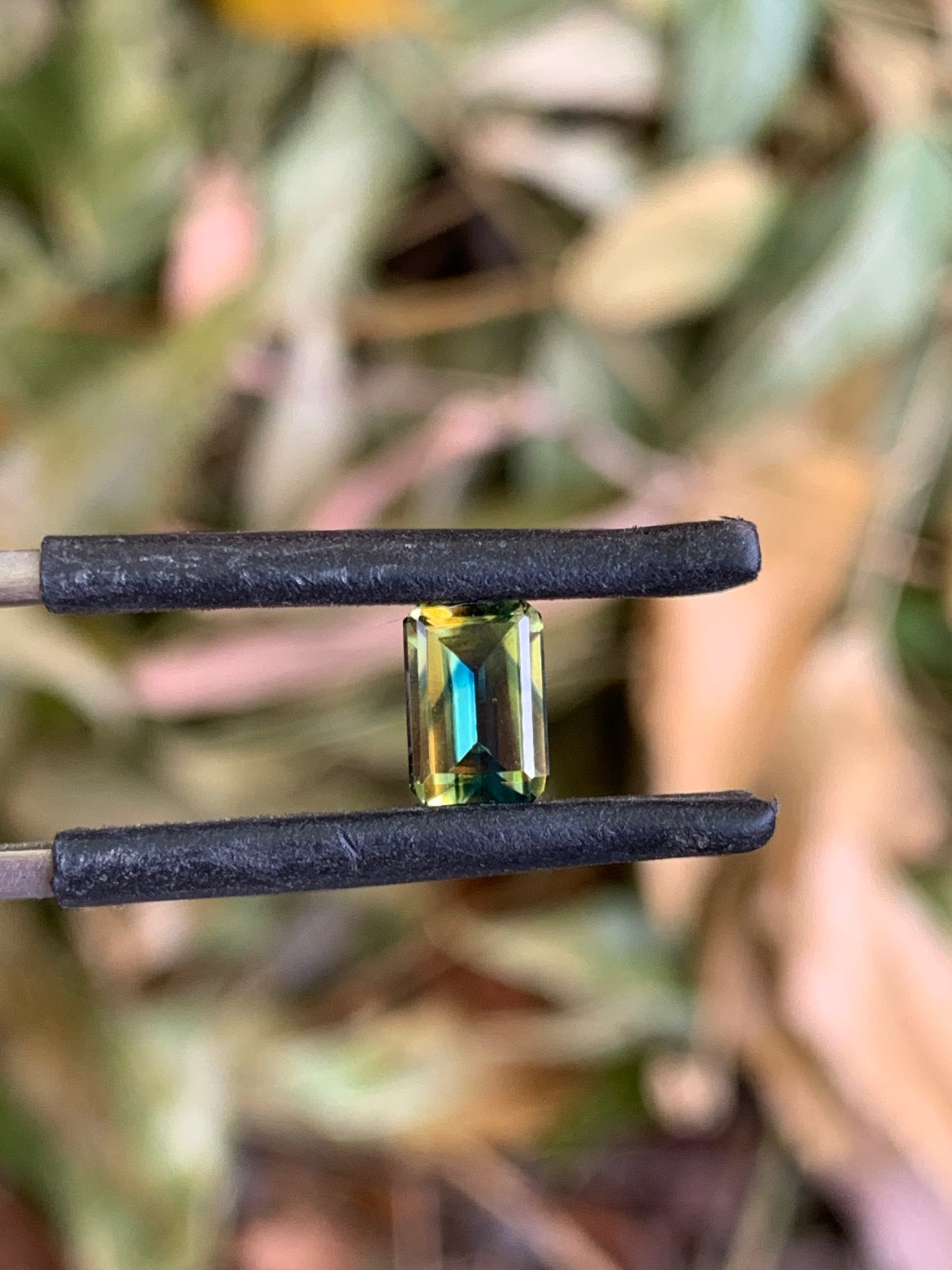 Unique Australian Parti Sapphire