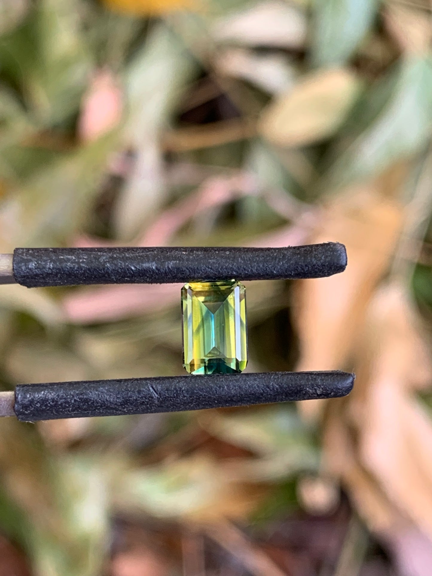 Parti Sapphire Jewellery