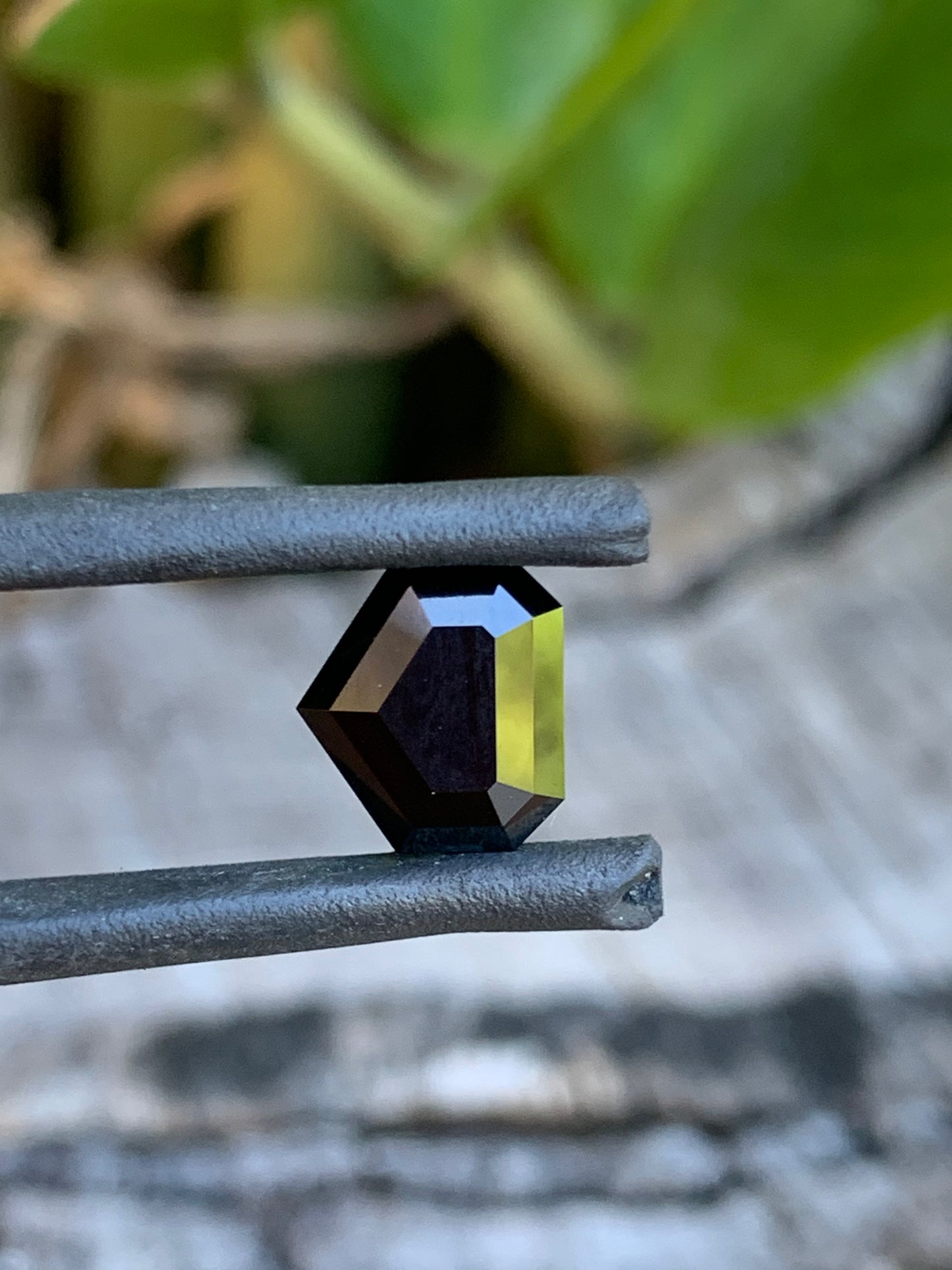 Black Diamond Alternate