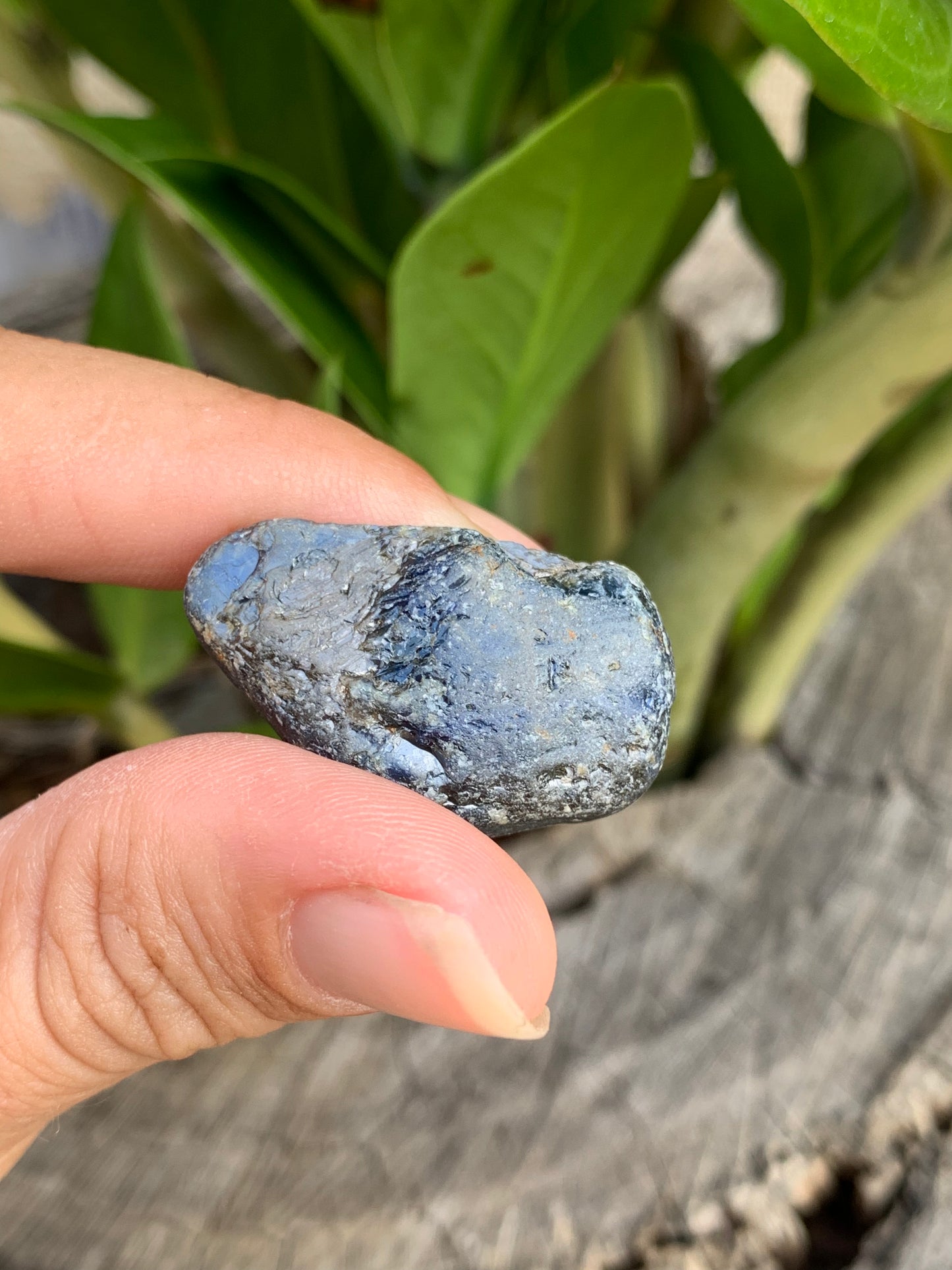 79.85ct Australian Sapphire Specimen