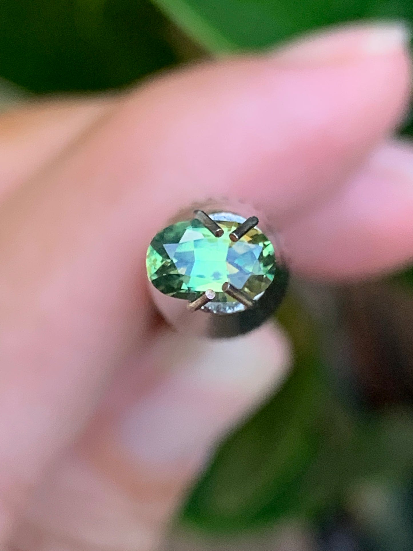 Betteridge Sapphires