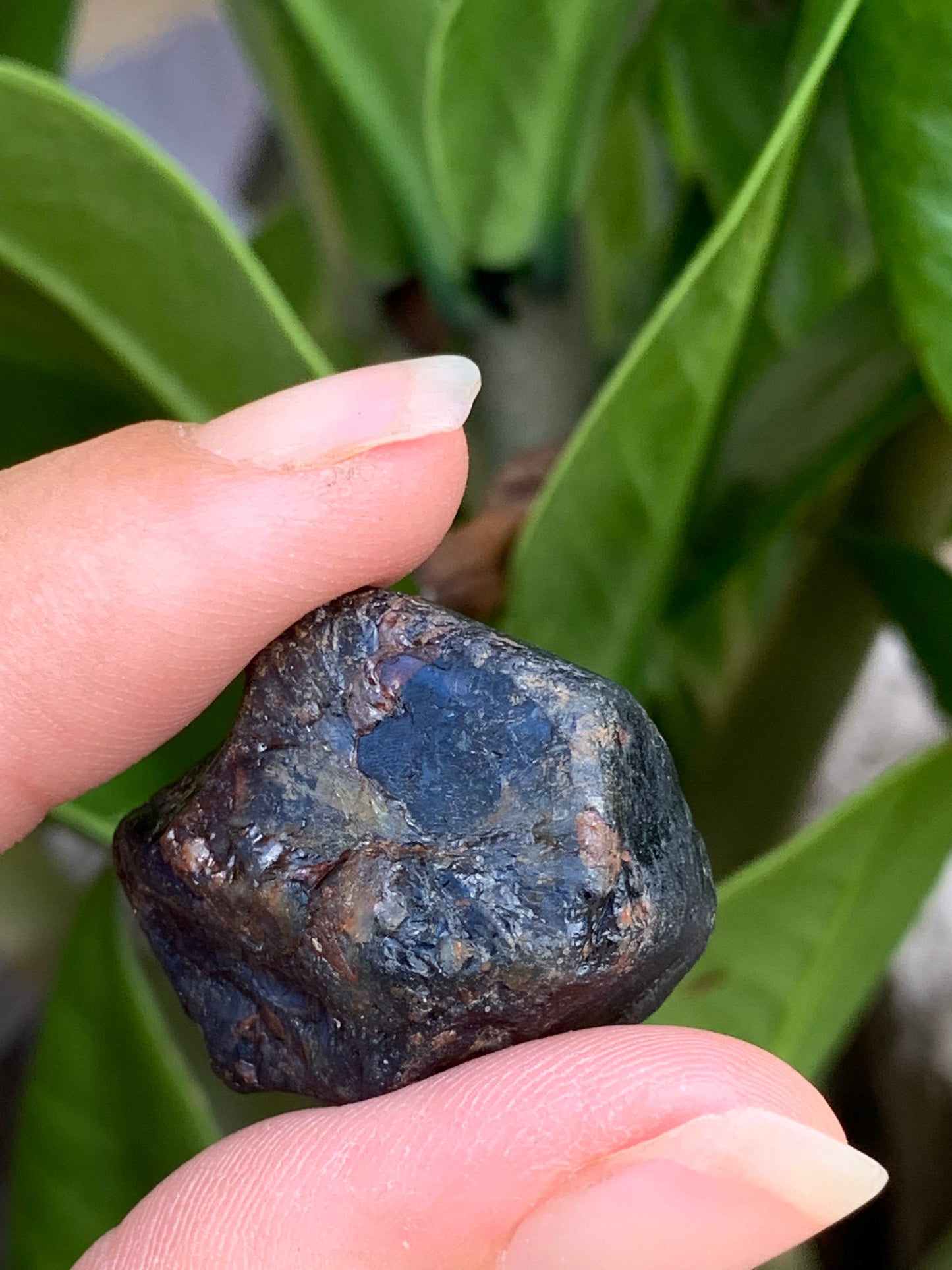 62.8ct Australian Sapphire Specimen