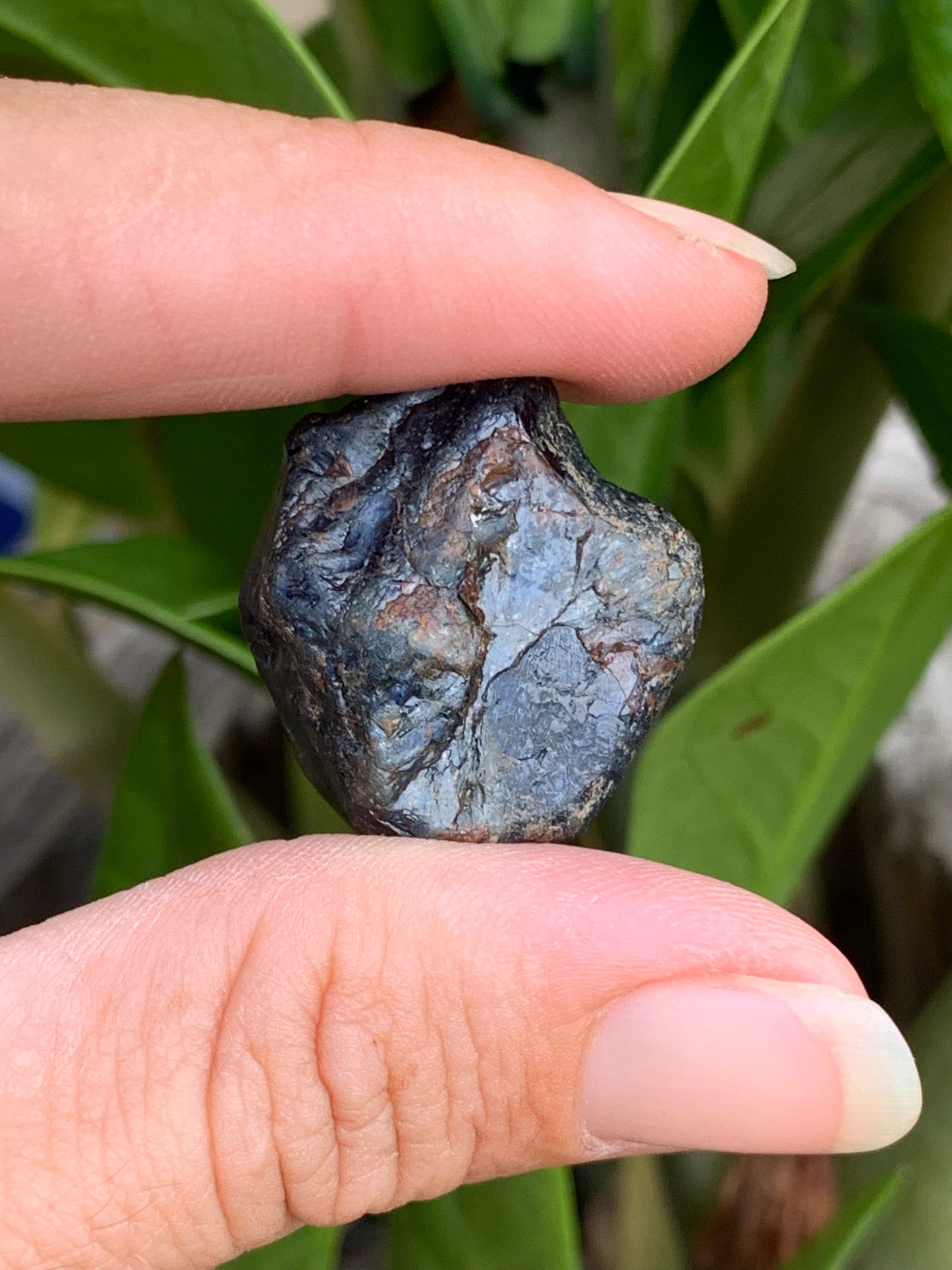 62.8ct Australian Sapphire Specimen