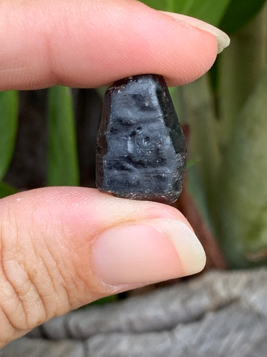 24.7ct Natural Australian Dog's Tooth Sapphire Specimen