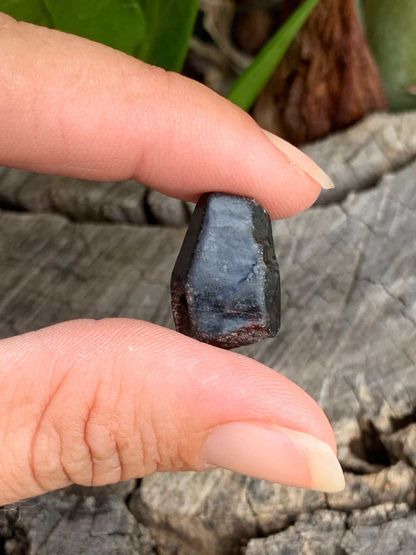 24.7ct Natural Australian Dog's Tooth Sapphire Specimen