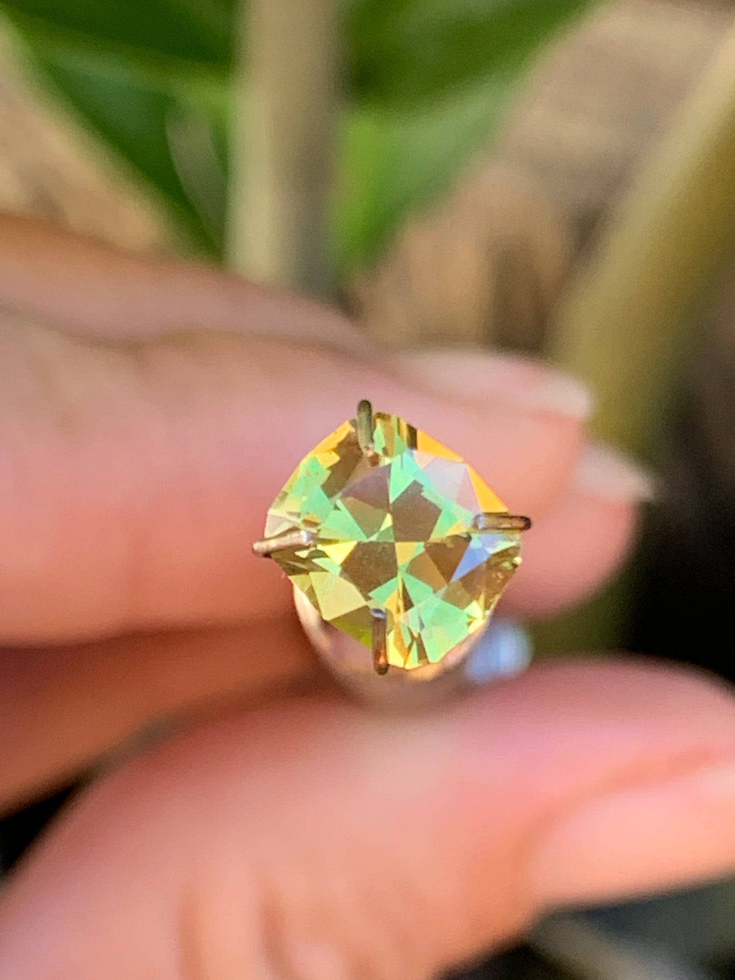 Parti Sapphire