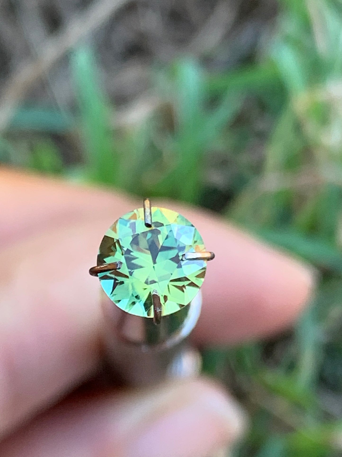 Parti Sapphire