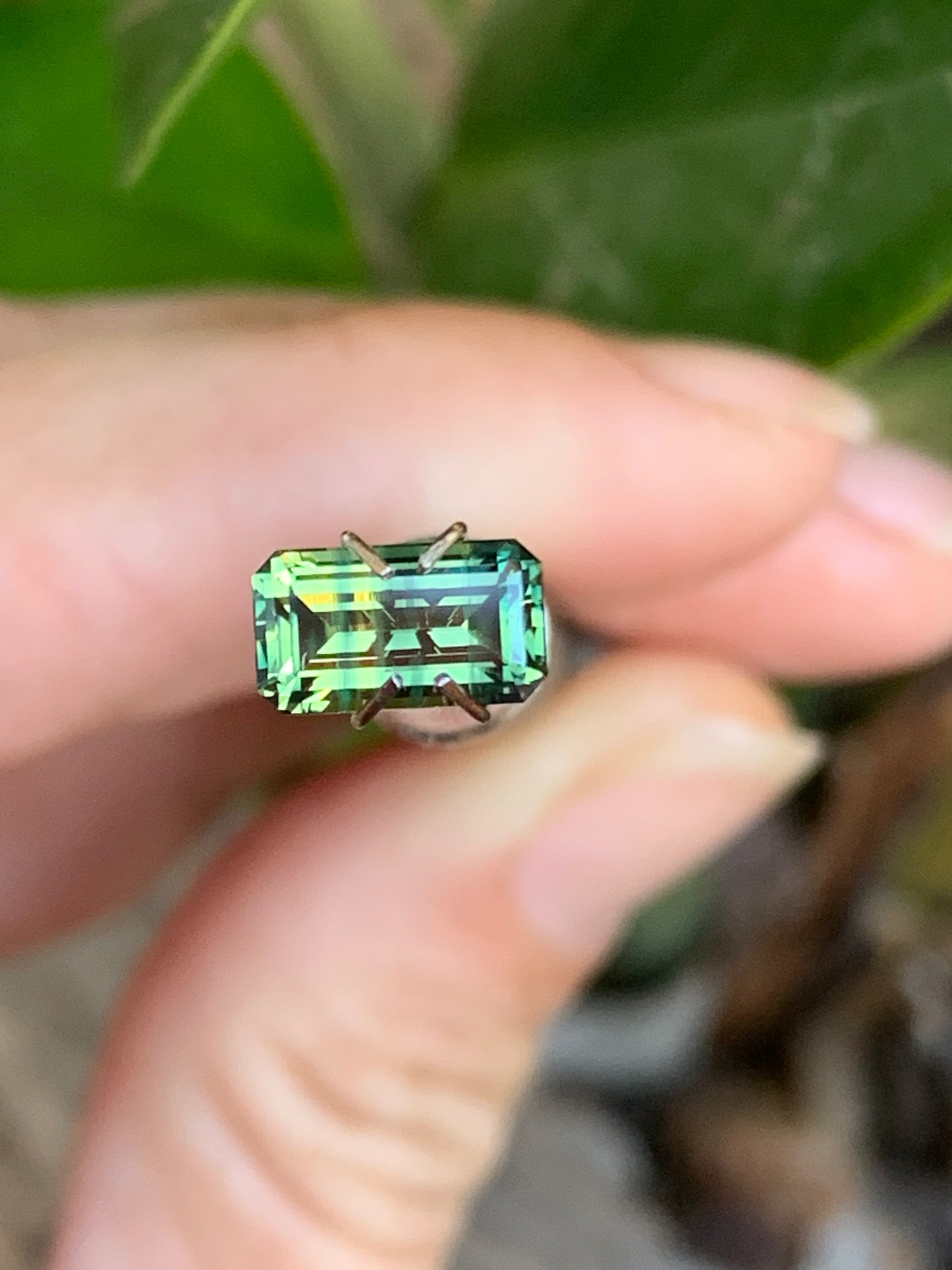 Australian Parti Sapphire