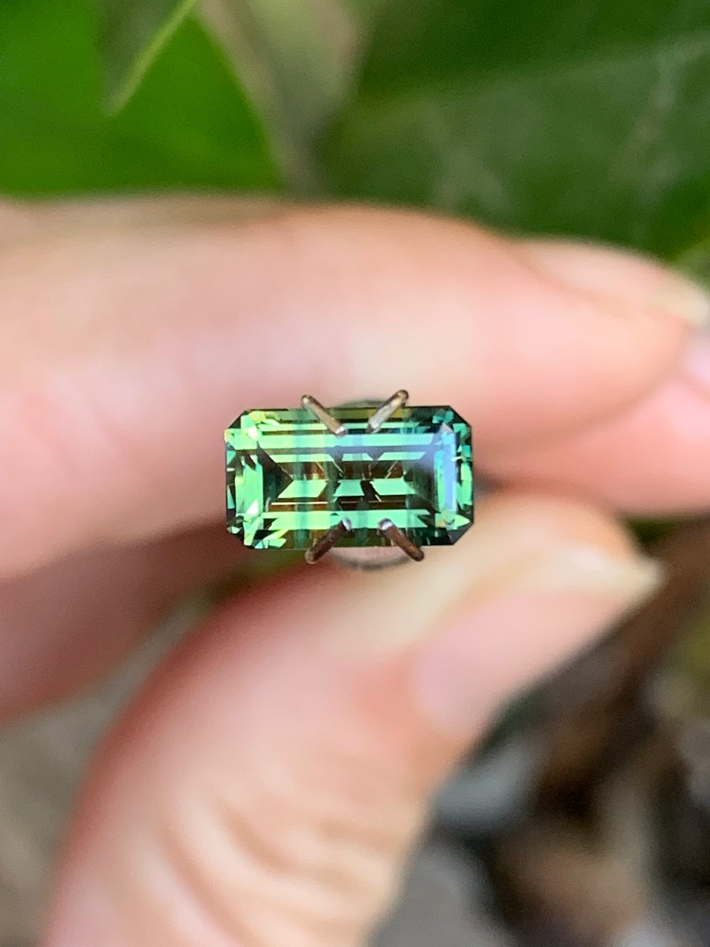 Australian Sapphires