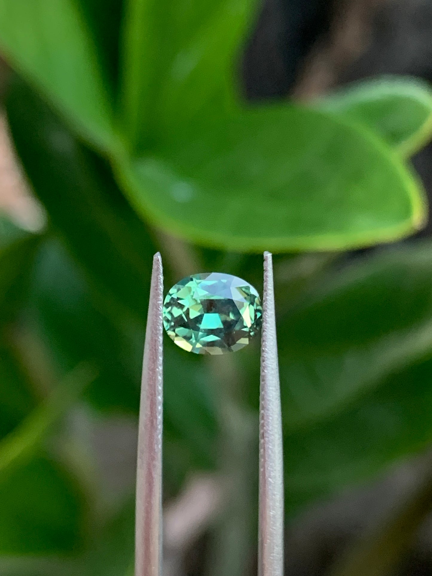 Betteridge Sapphires