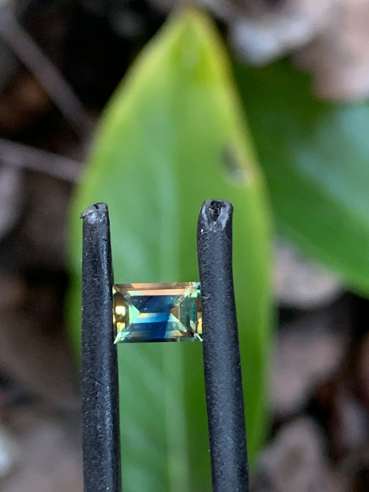 Betteridge Sapphires