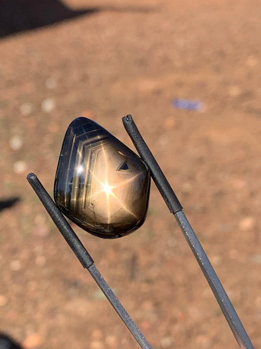 58.83ct Australian Star Sapphire