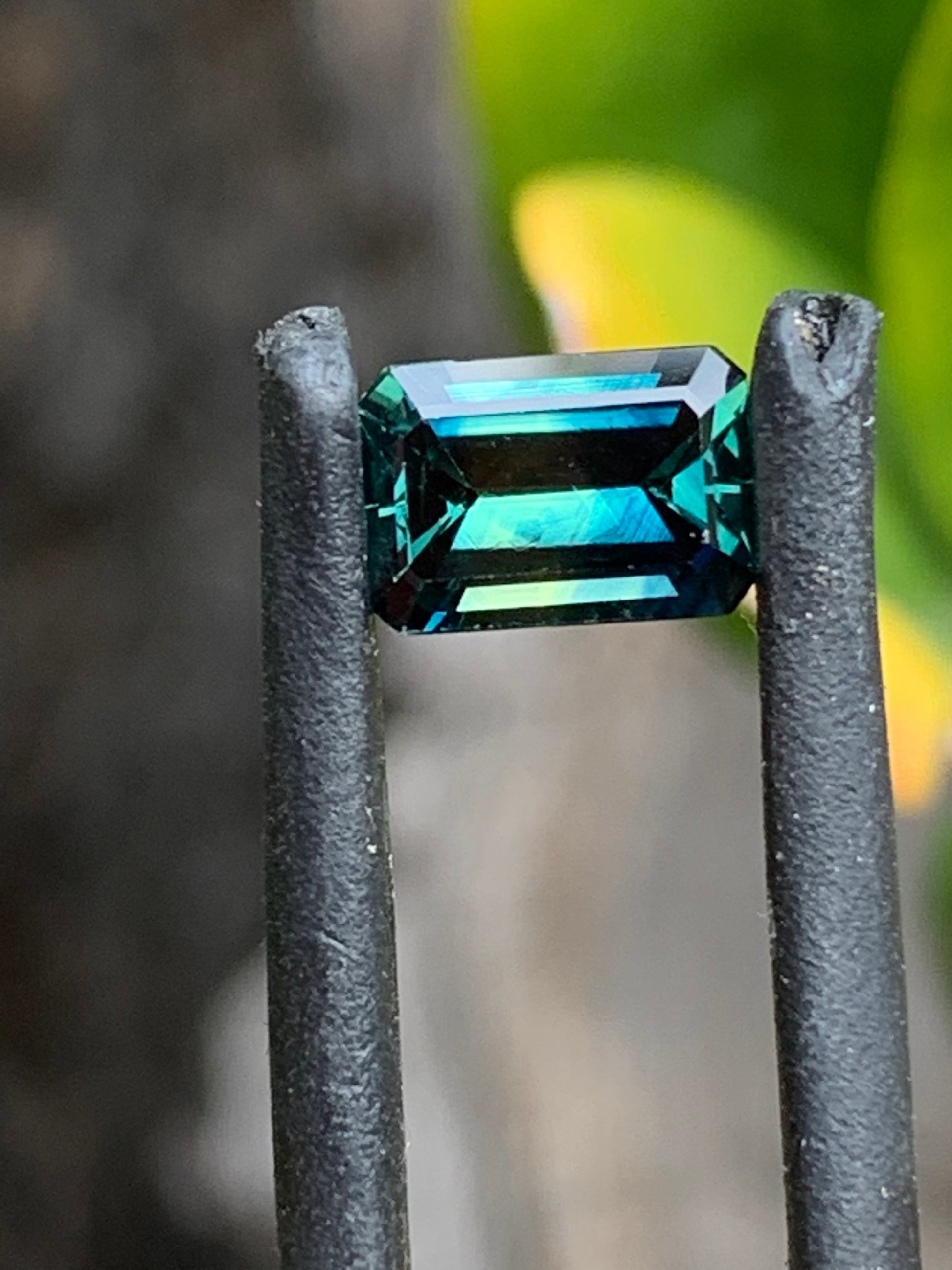 Parti Sapphire