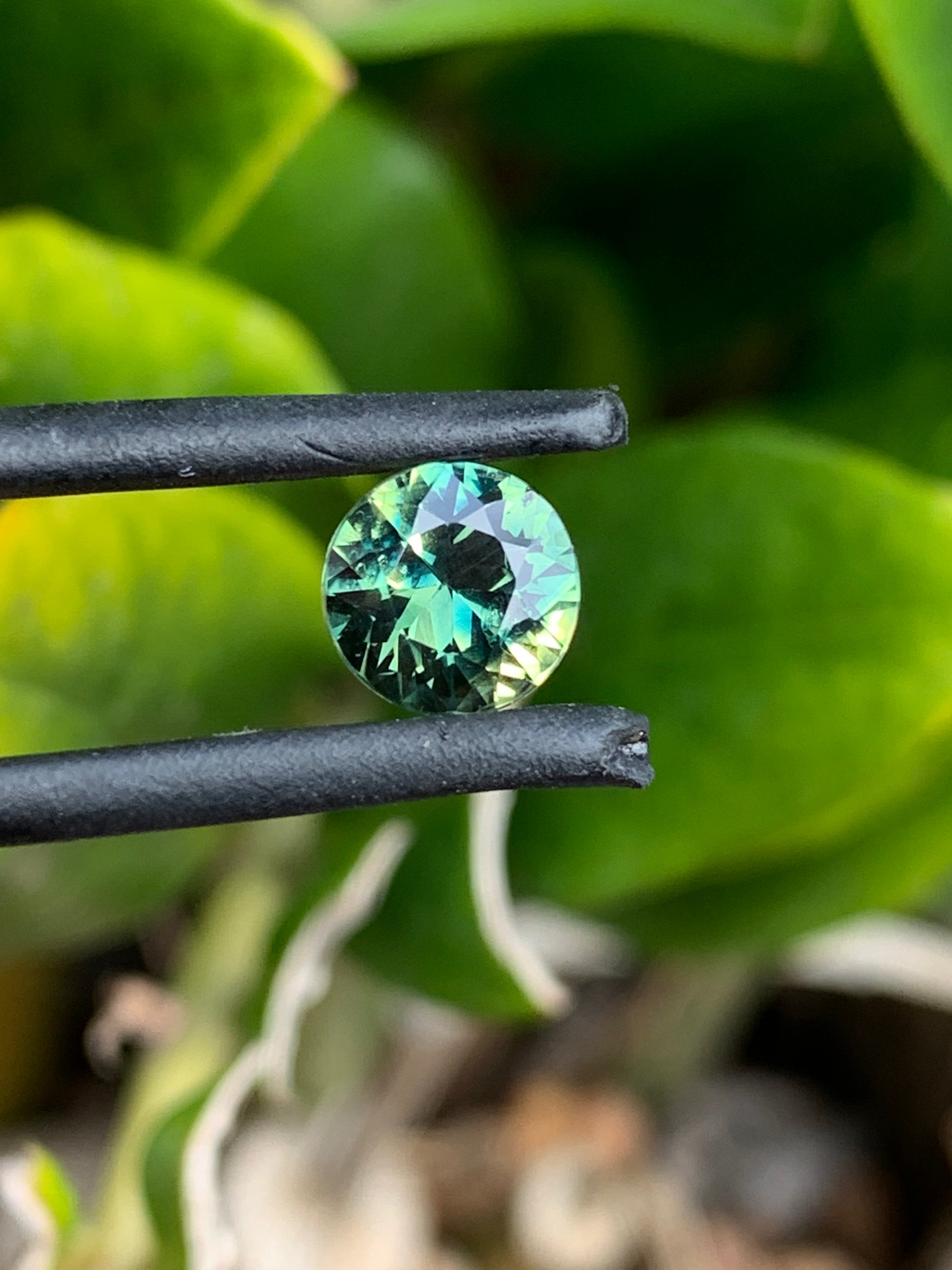 Parti Sapphire