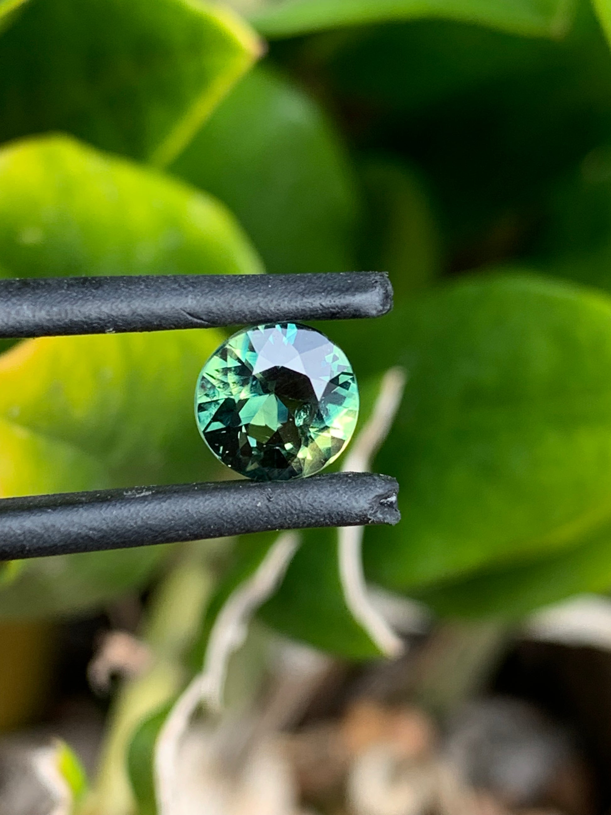 Australian Parti Sapphire