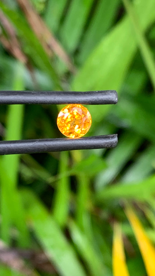 1.24ct Orange Australian Sapphire