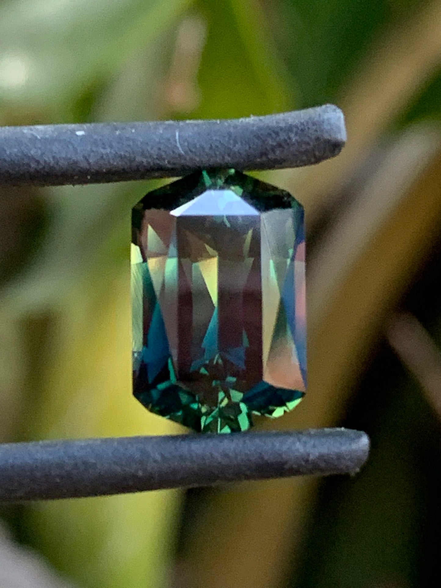 Parti Sapphire